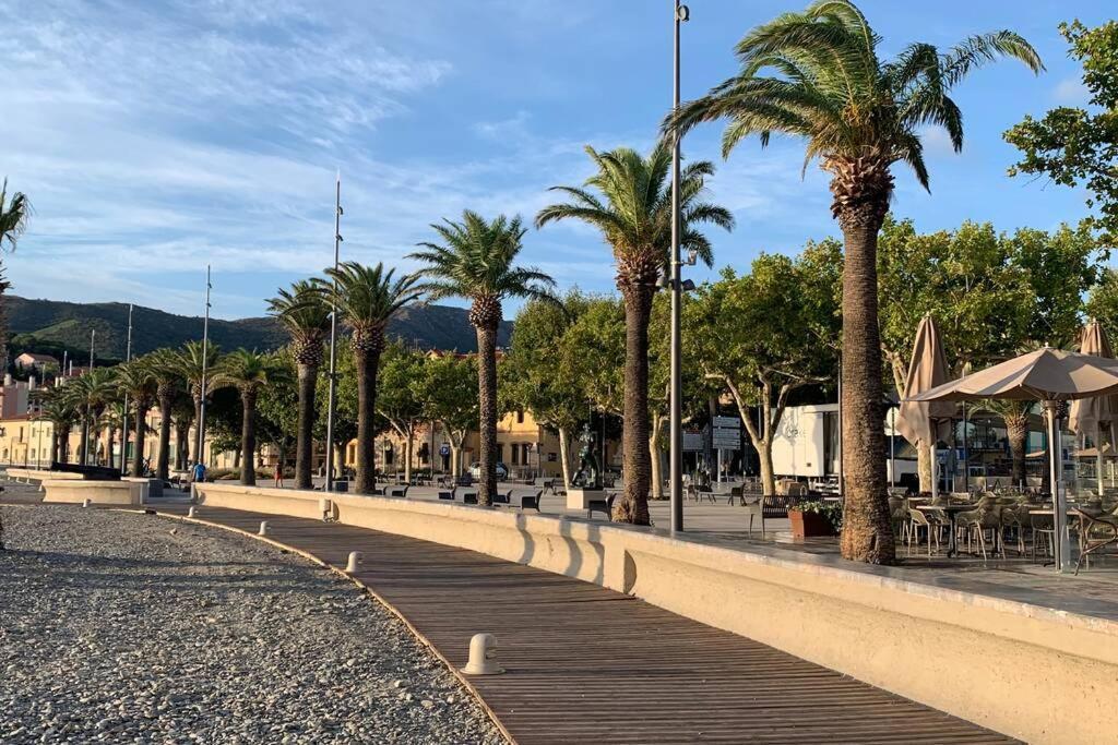 Attique A Banyuls - Vue Mer Et Montagne Exteriér fotografie